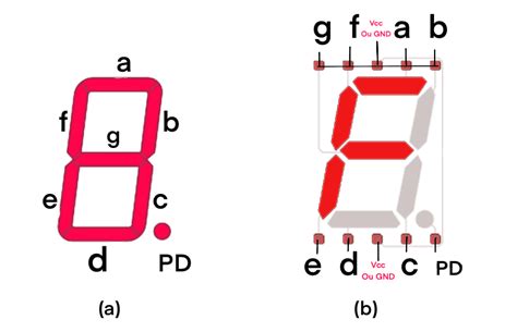 pinout display 7 segmentos